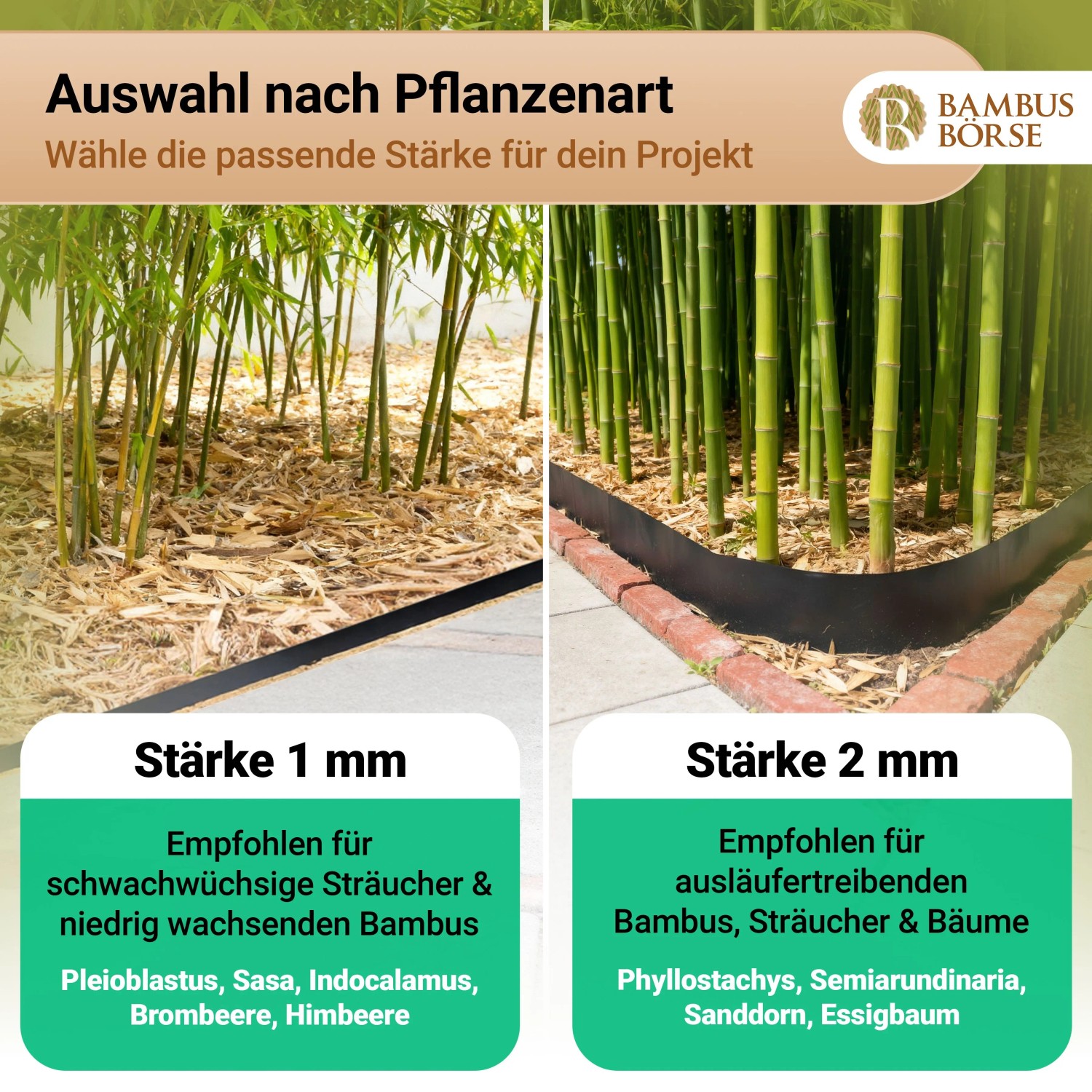 Bambusbörse Wurzelsperre Rhizomsperre Stärke 1 mm Länge 10 m Breite 60 cm_5