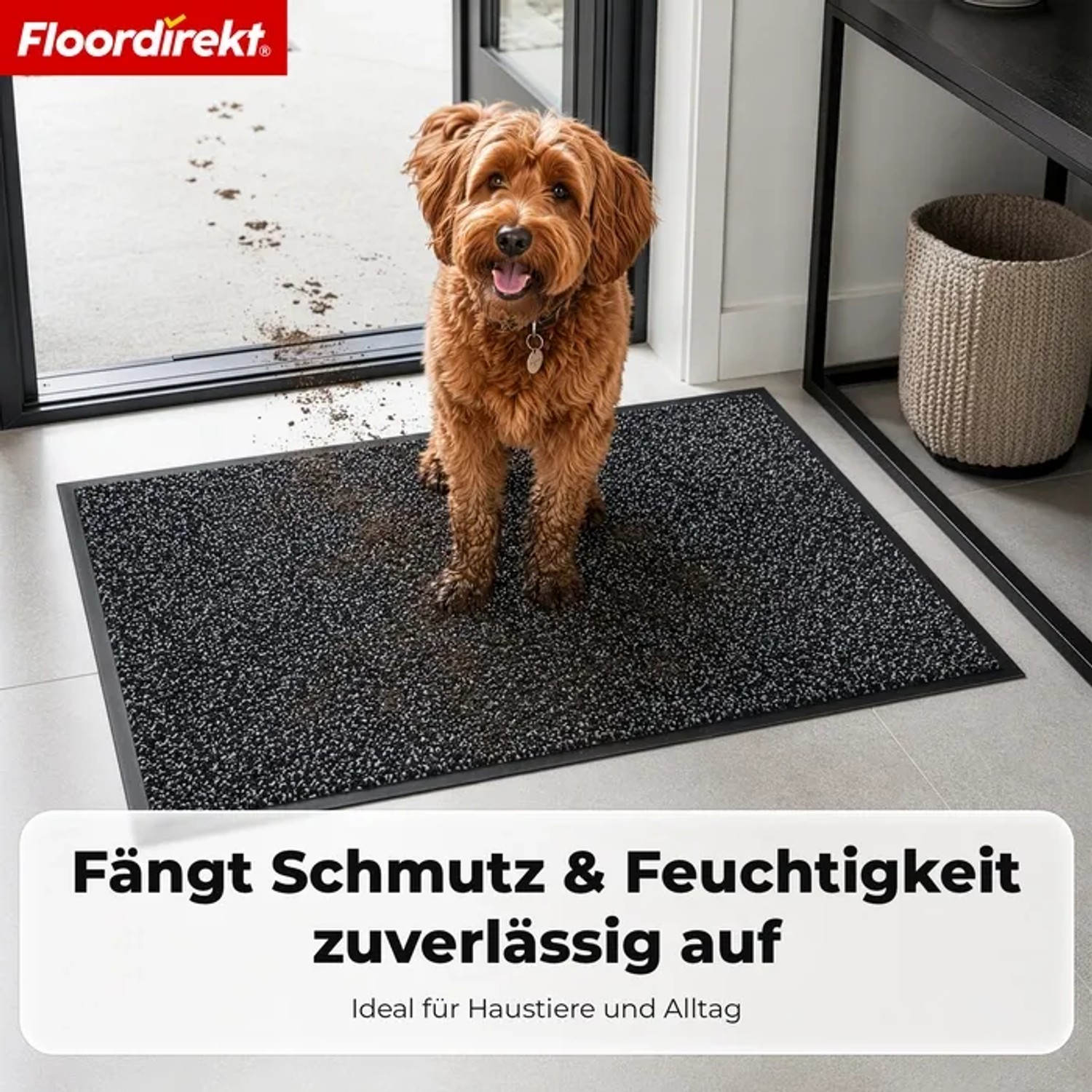 Anthrazit Schmutzfangmatte mit Hund und Schmutz im Eingangsbereich. Waschbare, rutschfeste Fußmatte für Haustiere.