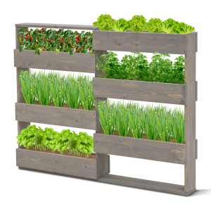 Coemo Vertikalbeet Riga mit 7 Pflanzkästen aus Holz, bepflanzt mit Kräutern und Gemüse.