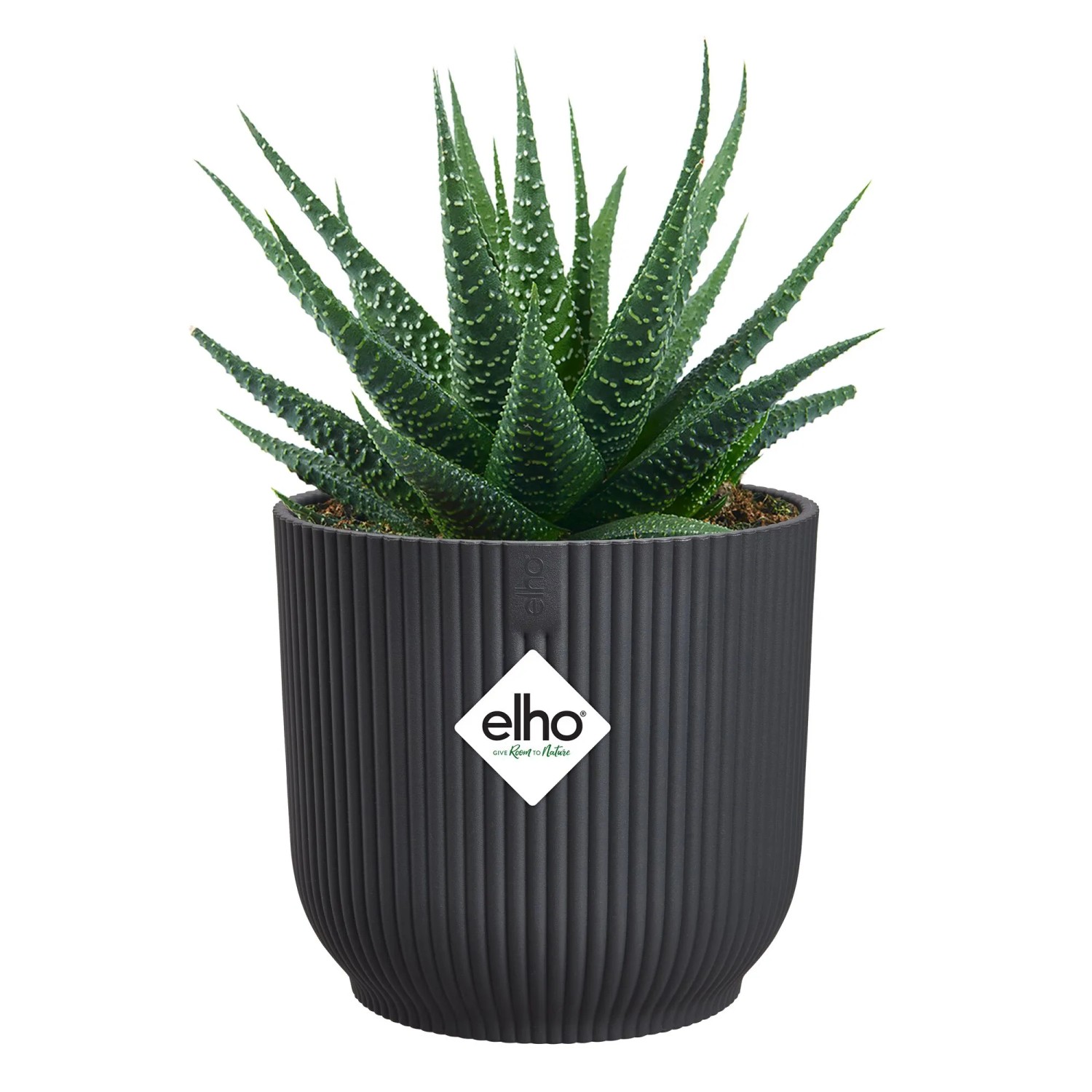 Anthrazitfarbener Elho Blumentopf Vibes Fold Mini mit Pflanze, gerippte Struktur.