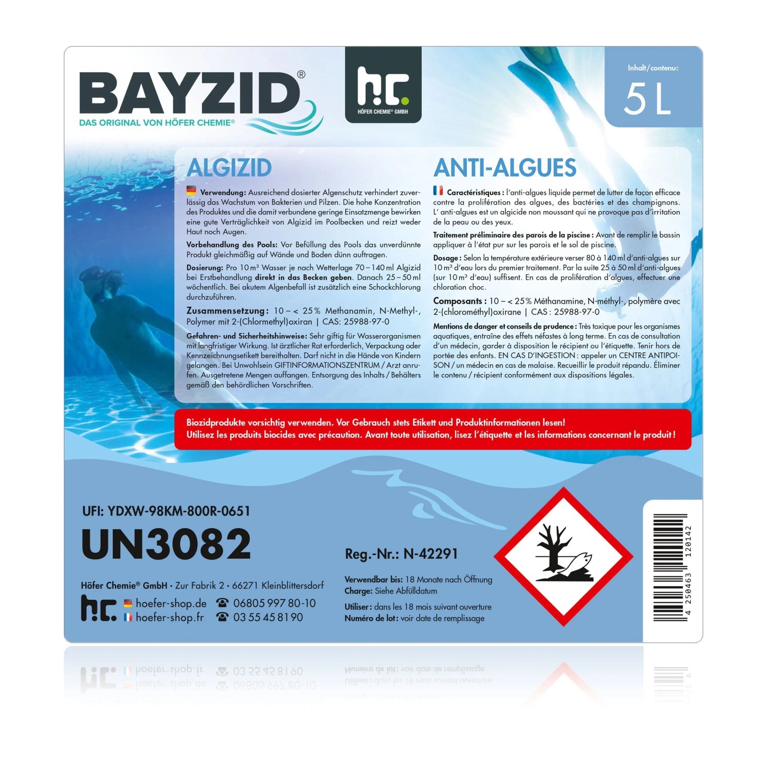 Bayzid Algizid Algenverhütung für Pools, 2x5l Kanister zur Algenbekämpfung.