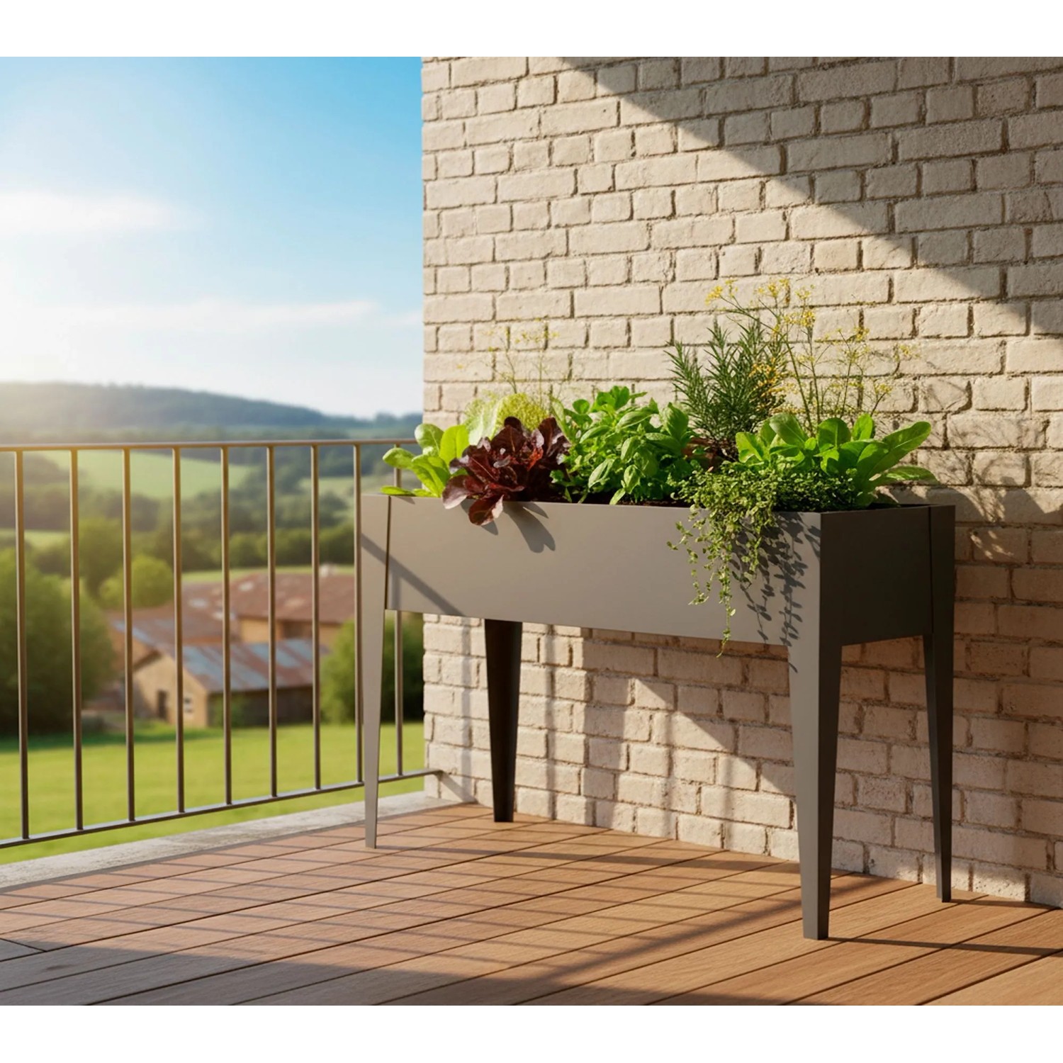 Modernes anthrazitfarbenes Metall-Hochbeet Vedura auf Balkon, bepflanzt mit Salat und Kräutern. Ideal für Gärtnern.