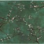 Grüne Fototapete mit Kirschblüten und Vögeln für ein natürliches Ambiente im Zuhause.