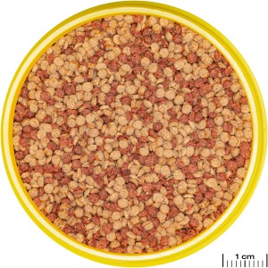 Jbl Pronovo Color Grano M Fischfutter-Granulat für Aquarienfische, Nahaufnahme.
