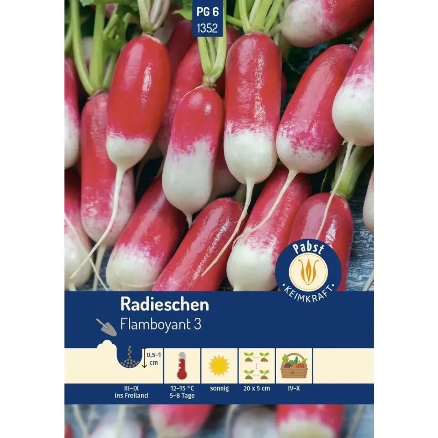 Pabst Keimkraft Radieschen Lang & Zweifarbig Flamboyant 3 Saatgut
