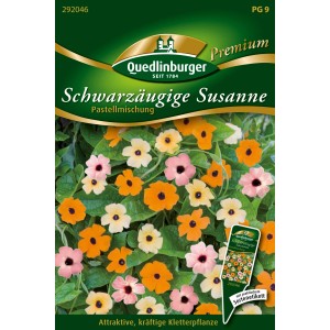 Samenpackung Schwarzäugige Susanne 'Pastell Mischung' von Quedlinburger mit pastellfarbenen Blüten.