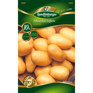 Quedlinburger Pflanzkartoffeln Colomba, gelbschalig, vorwiegend festkochend, 10 Stück.