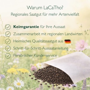 LaCaTho Lavendel Samen: Offener Beutel mit dunklen Samen auf Blumenwiese. Vorteile: Keimgarantie, Qualität aus Deutschland, regionale Landwirte.