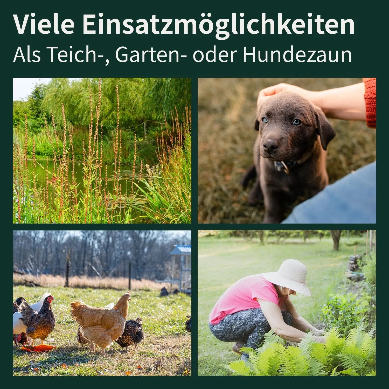 VERDOBA Teichzaun Gartenzaun Hundezaun Metall Gitterzaun aus Zaunelementen 10x Unterbogen Grün mit Form_7