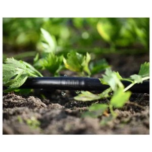 Cellfast Y-Stück Verbinder 16mm Tropfschlauch im Einsatz zur Gartenbewässerung.