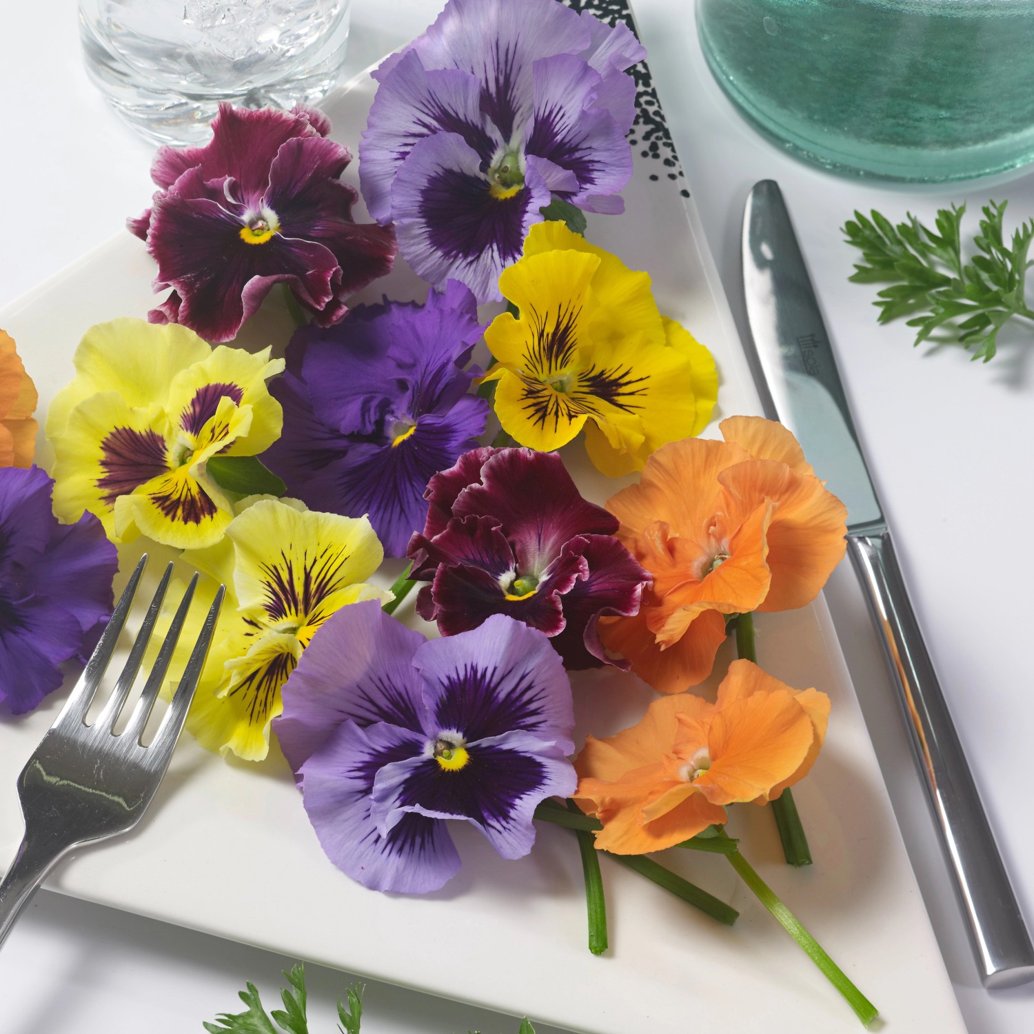 Essbare Blu Bio-Stiefmütterchen Blüten in verschiedenen Farben auf einem Teller mit Besteck.