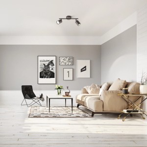 Schwarze Fischer & Honsel Deckenleuchte Vano, 2-flammig, im modernen Wohnraum.