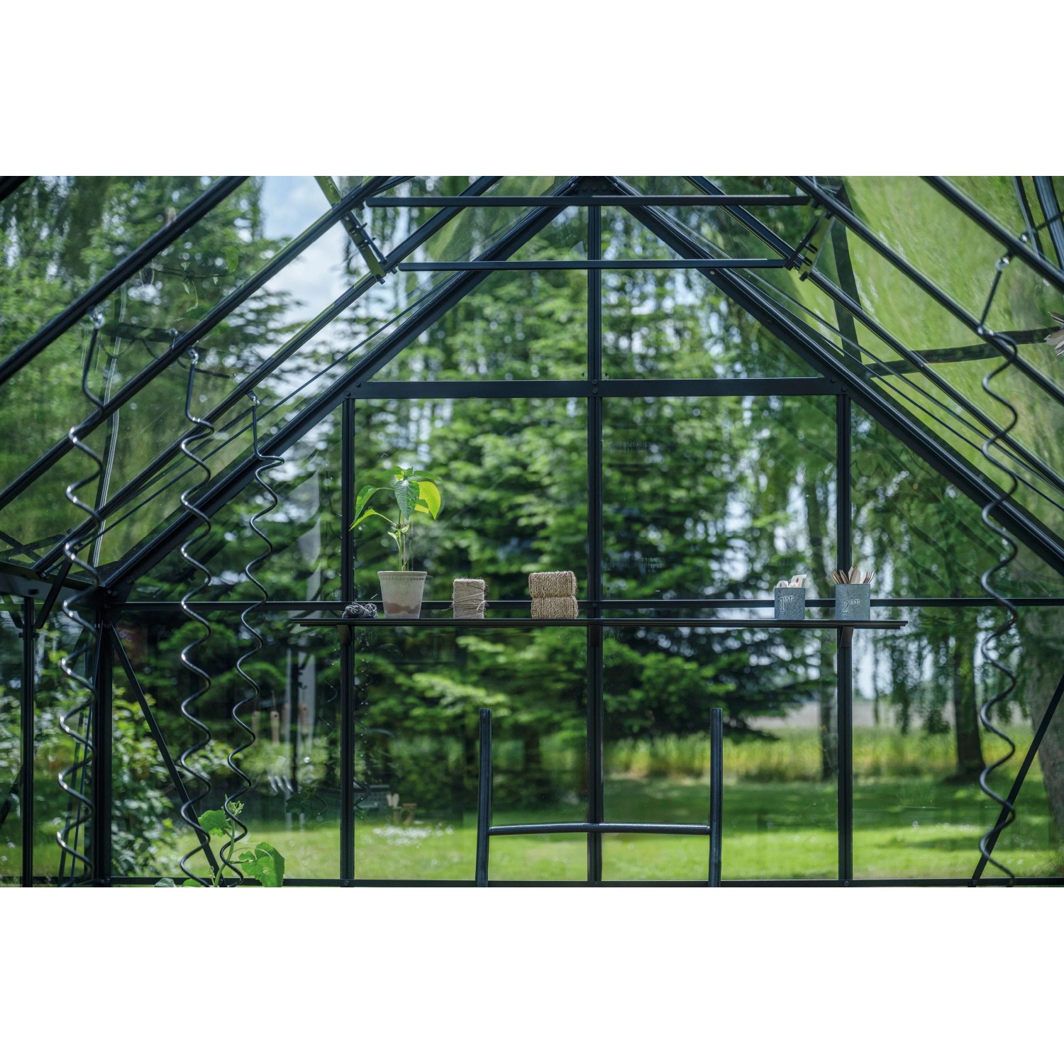 Halls Gewächshaus Icon 8, schwarzes Gartenhaus mit Glas und Regal, Pflanzenzucht.