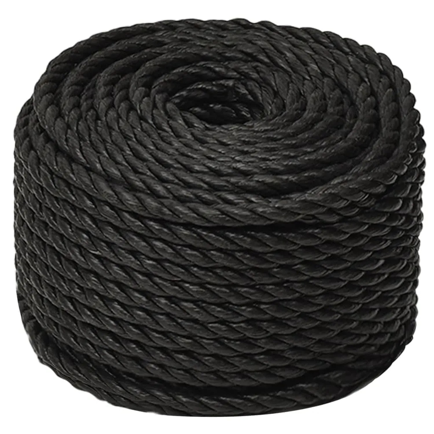 vidaXL Arbeitsseil Schwarz 12 mm 250 m Polypropylen 153019