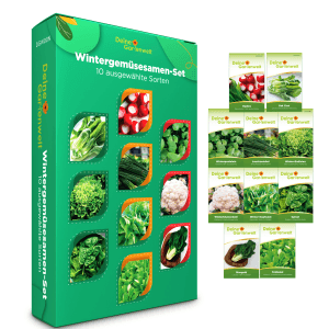 Deine Gartenwelt Wintergemüse Samen-Set mit 10 Sorten