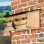 Dobar Holz-Nistkasten für Spatzen an Ziegelwand. Spatz füttert Küken in 3er-Nisthilfe aus Kiefernholz.