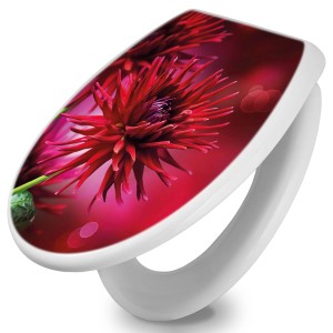 Weißer WC-Sitz mit Absenkautomatik und roten Dahlien als Motiv.