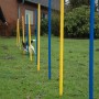 Dobar Agility Slalom Set mit blau-gelben Stangen und Hund im Parcours.