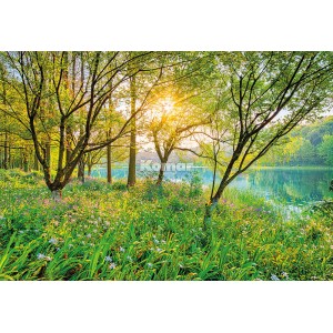 Komar Fototapete Spring Lake: See im Frühlingswald mit blühender Wiese und Sonnenlicht.