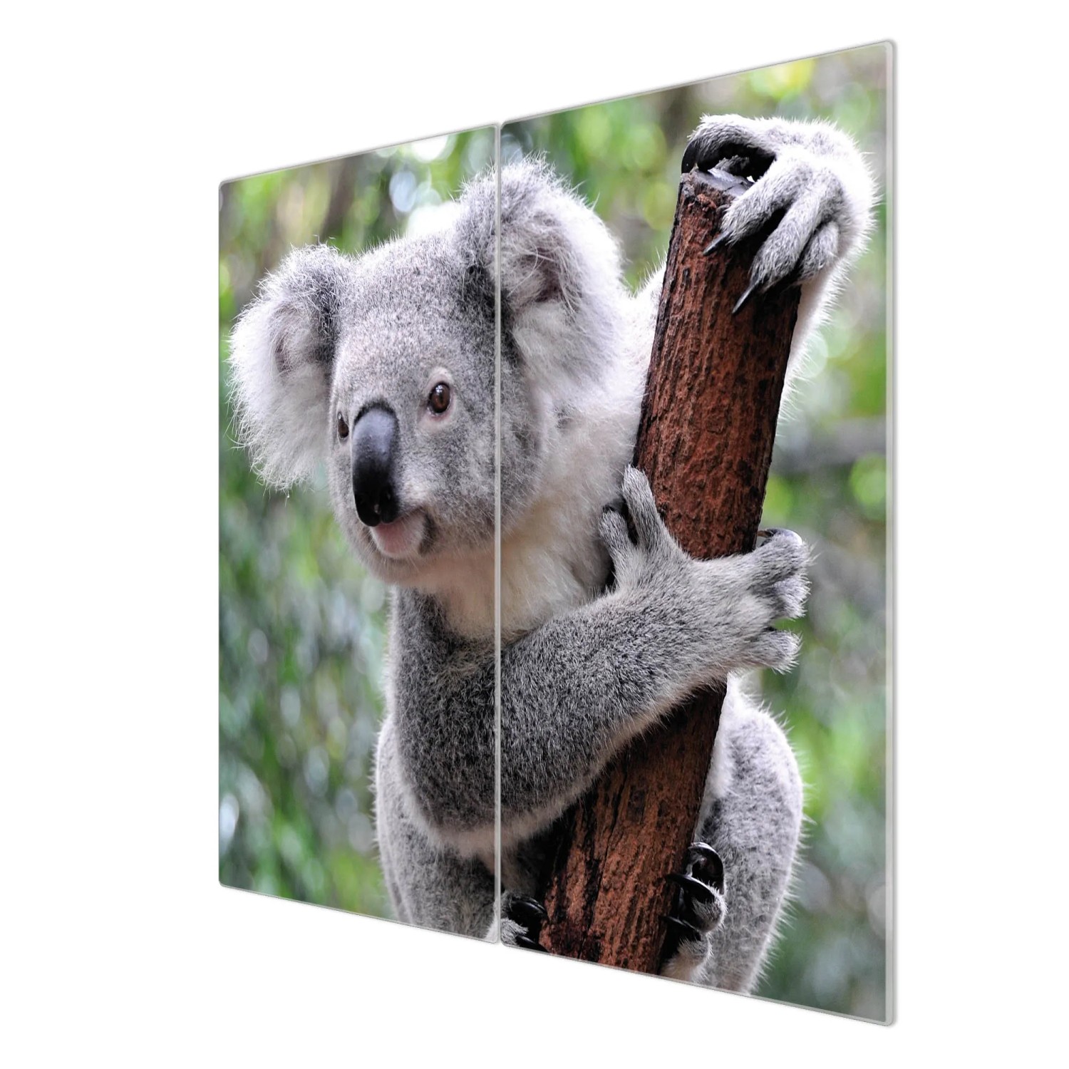 Banjado 2-teilige Herdabdeckplatte aus Glas mit Koala-Motiv, auch als Schneidebrett nutzbar.