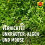 Vorox Unkrautfrei Express: Unkrautvernichter für Beete, wirkt schnell und effektiv gegen Unkraut.