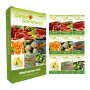Deine Gartenwelt Obst Samen-Set mit 9 Sorten. Grüne Box und Samentüten mit Bildern von verschiedenen Früchten.