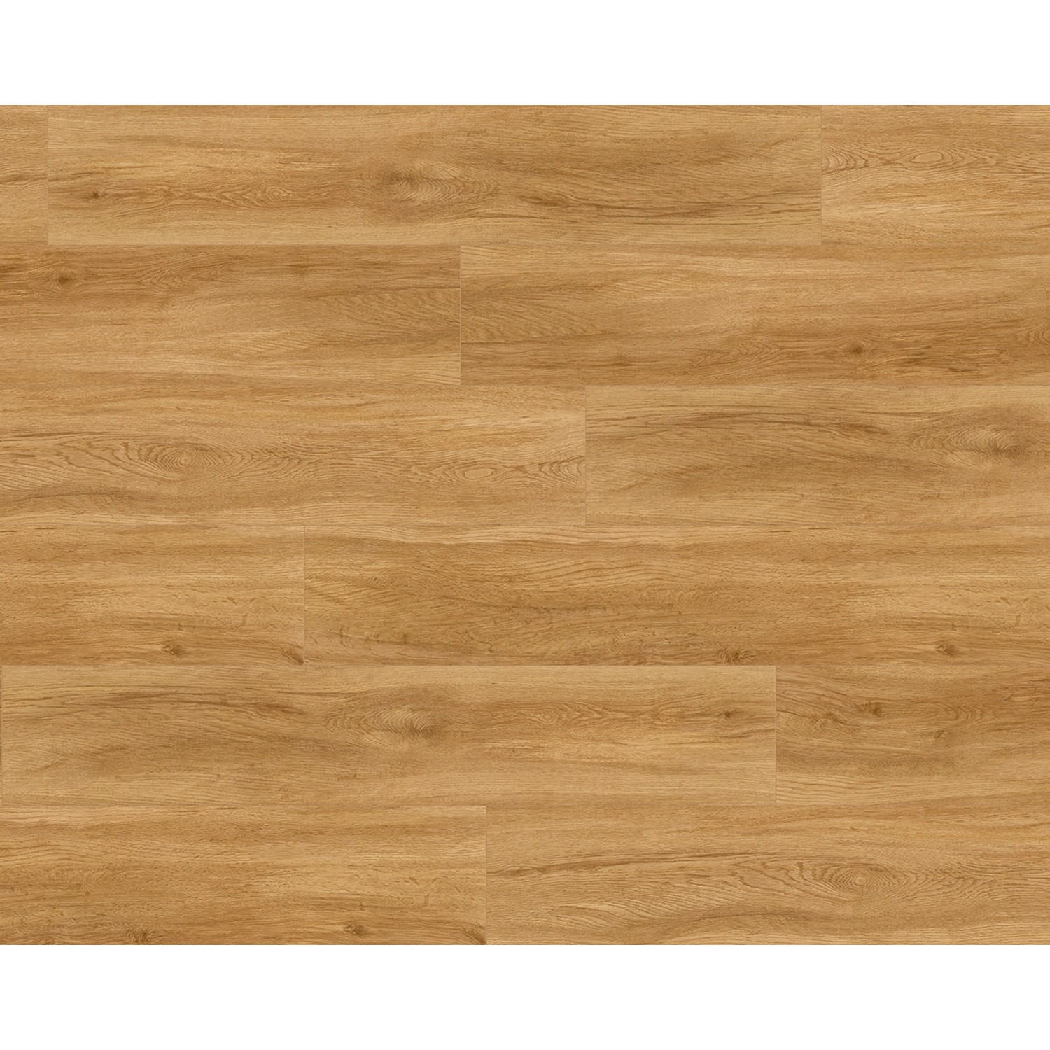 Parador Vinylboden Basic 5.3 Eiche Sierra Natur