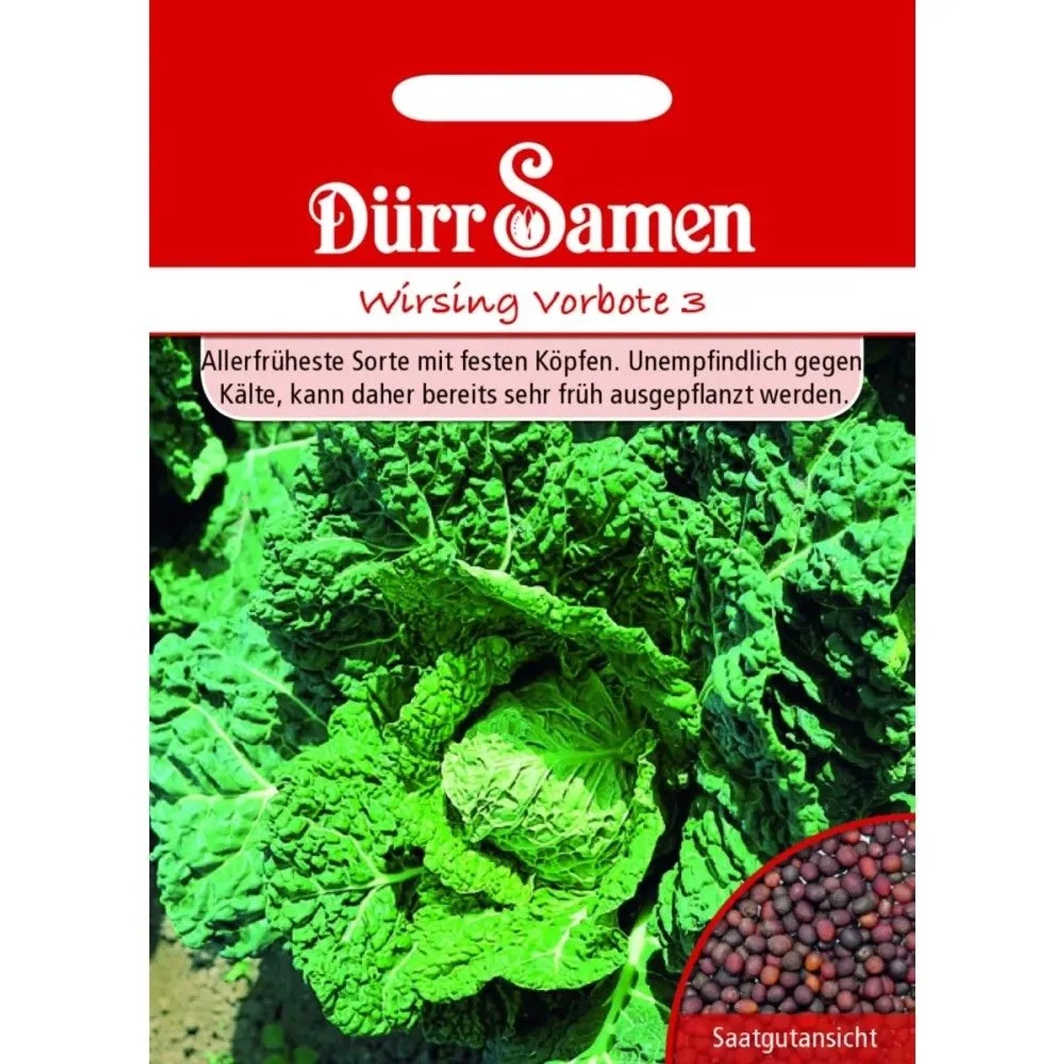 Dürr Samen Wirsing Vorbote Saatgut