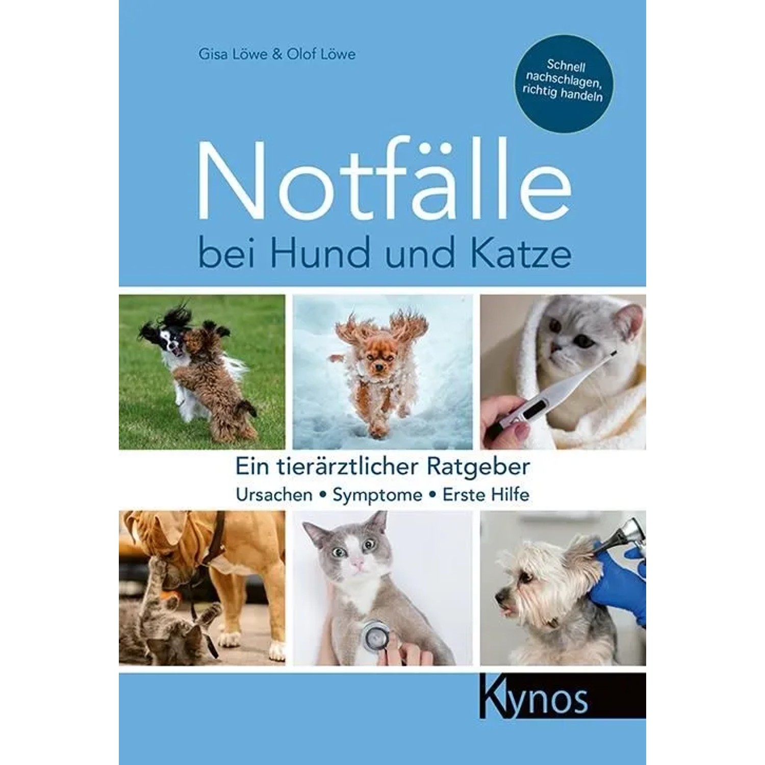 Notfälle bei Hund und Katze