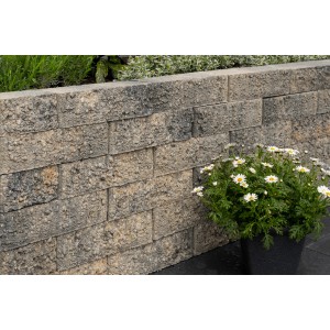 Diephaus Mauerstein Munin Muschelkalk Mauer mit Bepflanzung und Margeriten.