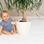 Baby neben Pflanze mit Reer Pflanzenschutz-Netz (Ø 30cm) im weißen Topf. Kindersicherung für Blumentöpfe.