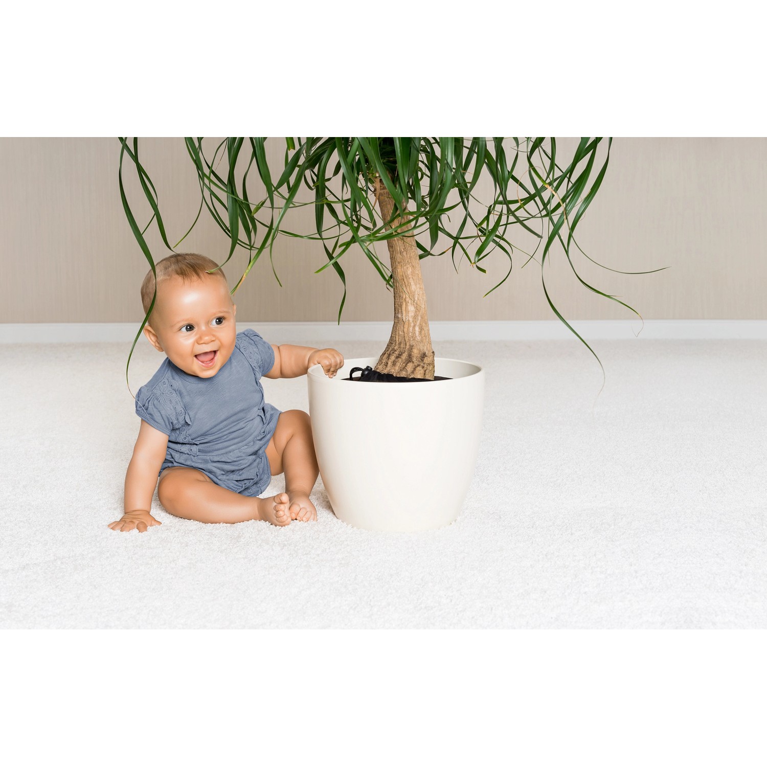Baby neben Pflanze mit Reer Pflanzenschutz-Netz (Ø 30cm) im weißen Topf. Kindersicherung für Blumentöpfe.