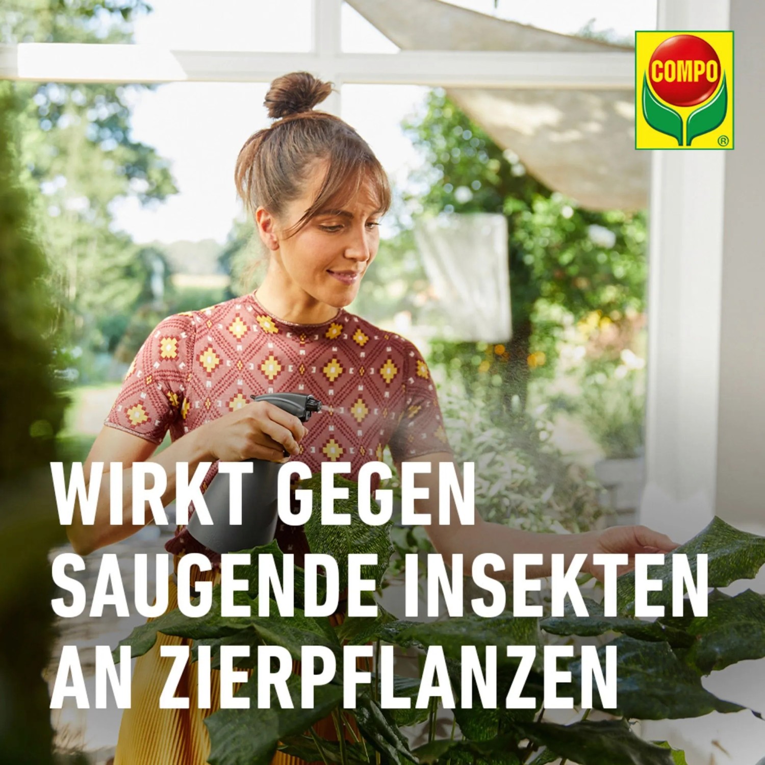 Frau sprüht Compo Insektenmittel Prev-AM auf Zierpflanze. Mittel gegen Blattläuse.