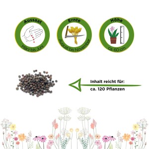 Samen für Palmkohl Nero Di Toscana: Aussaat März-Juni, Ernte August-November, Höhe ca. 60cm, Inhalt für 120 Pflanzen.