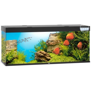 Schwarzes Juwel Aquarium-Set Rio LED 450 l mit Fischen und Dekoration.