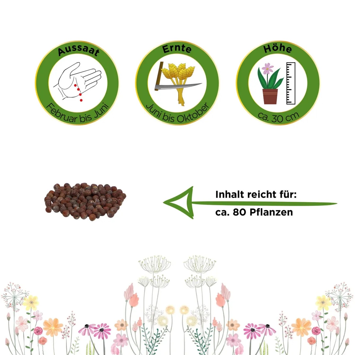 Bild von Deine Gartenwelt Blumenkohl Erfurt Samen: Aussaat, Erntezeit, Pflanzenhöhe und Inhalt.