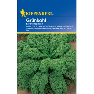 Kiepenkerl Grünkohl Lerchenzungen: Frostharter Gemüsesamen mit krausen, dunkelgrünen Blättern.