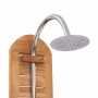 Detailansicht der vidaXL Gartendusche: Teakholz-Paneel mit runder Edelstahl-Duschbrause. Perfekt für Outdoor-Duschen.