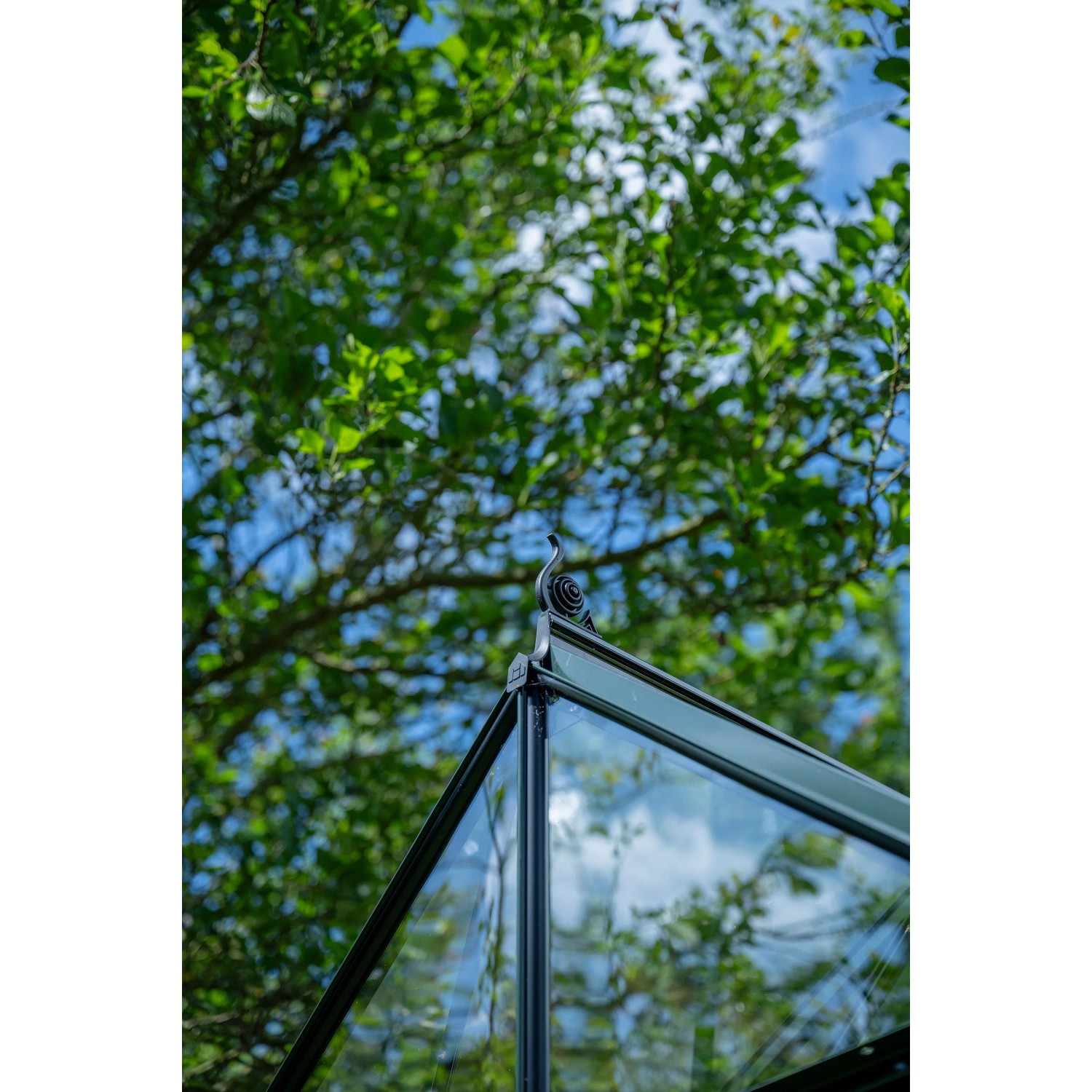 Detailaufnahme des Halls Gewächshaus Icon Planthouse 8, grüne Rahmen, Fokus auf Dachspitze.