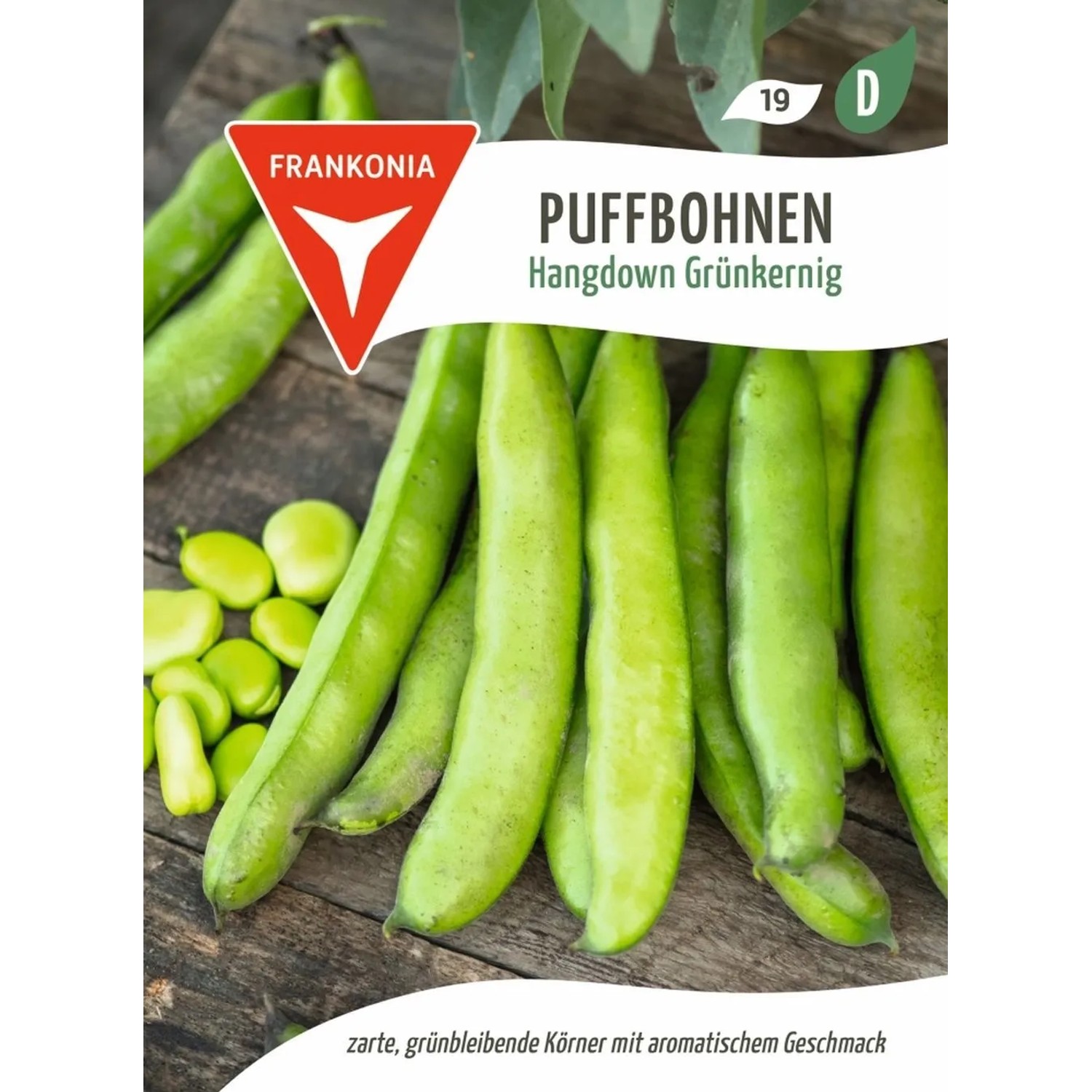 FRANKONIA Puffbohne Hangdown Grünkernig