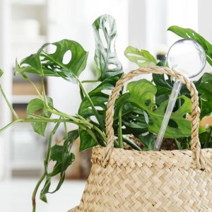 Relaxdays Bewässerungskugeln PVC Transparent 9er Set 8 cm x 28 cm 250 ml