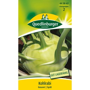 Samenpackung Quedlinburger Kohlrabi 'Gigant', großfallende Sorte.