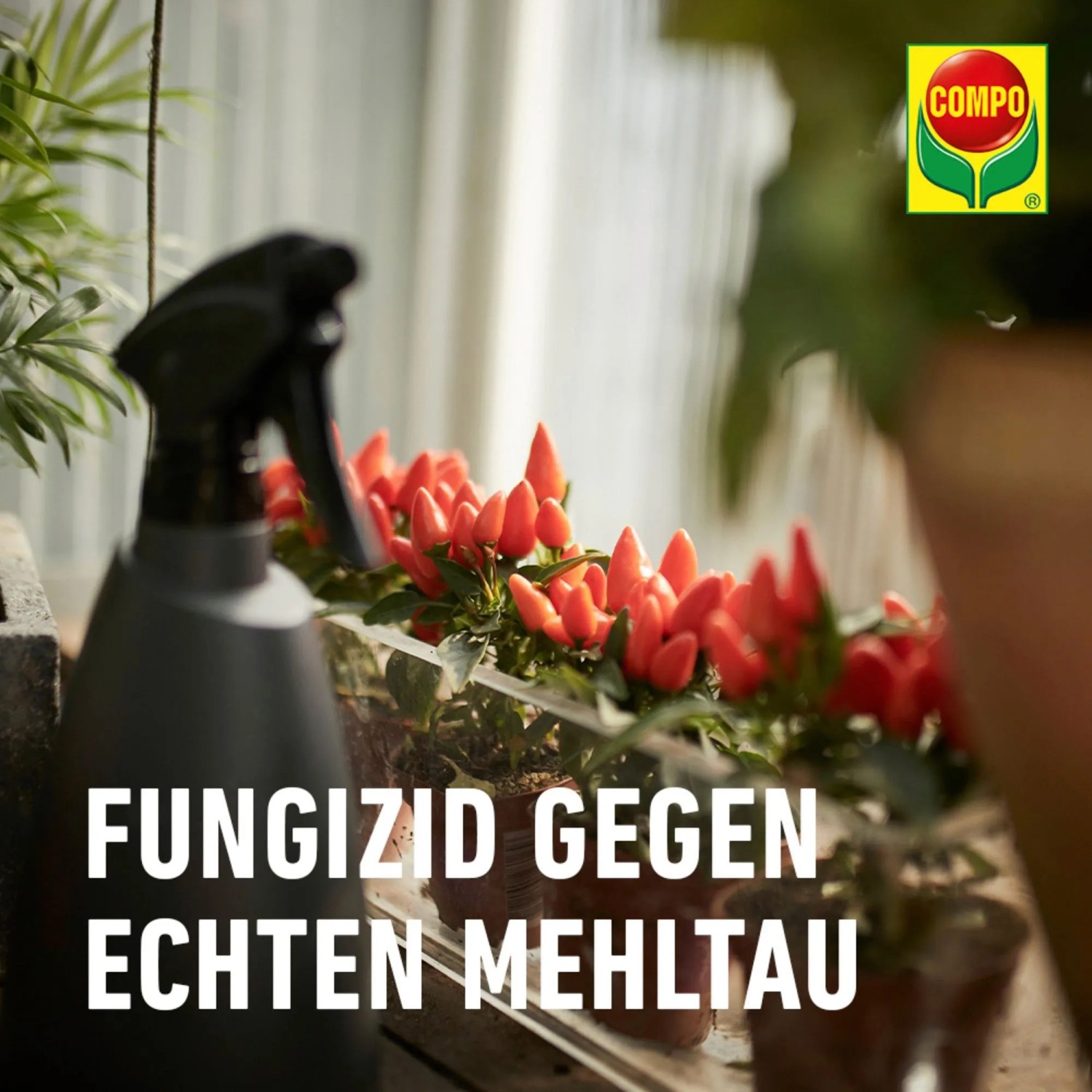 Compo Mehltau Mittel Thiovit-Jet 5 x 15 g kaufen bei OBI