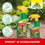 Neudorff Spruzit AF Schädlingsfrei, 2 Sprühflaschen. Mittel gegen Blattläuse und andere Schädlinge.