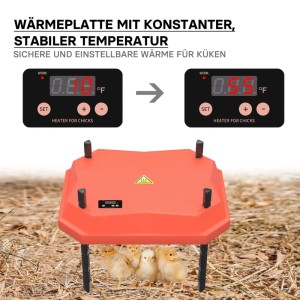 Orange Fudajo Küken-Wärmeplatte 25x30cm mit digitalem Temperaturregler, darunter kleine Küken. Ideal für die Kükenaufzucht in der Vogelvoliere.