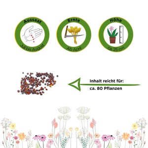 Samen für Winterblumenkohl Walcheren: Aussaat, Erntezeit und Pflanzenhöhe dargestellt.