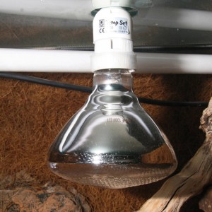 JBL UV-Spot plus 100W Terrarium-Beleuchtung für Reptilien, Nahaufnahme.