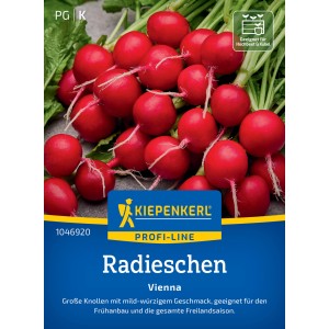 Kiepenkerl Radieschen Vienna F1-Hybride: Leuchtend rote, runde Radieschen mit grünem Laub.