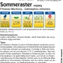 Samentüte Kiepenkerl Sommeraster Prinzess Mischung, mehrfarbig.