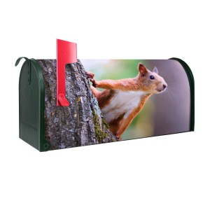 Grüner Banjado US Briefkasten mit Eichhörnchen Motiv, Stahl pulverbeschichtet.